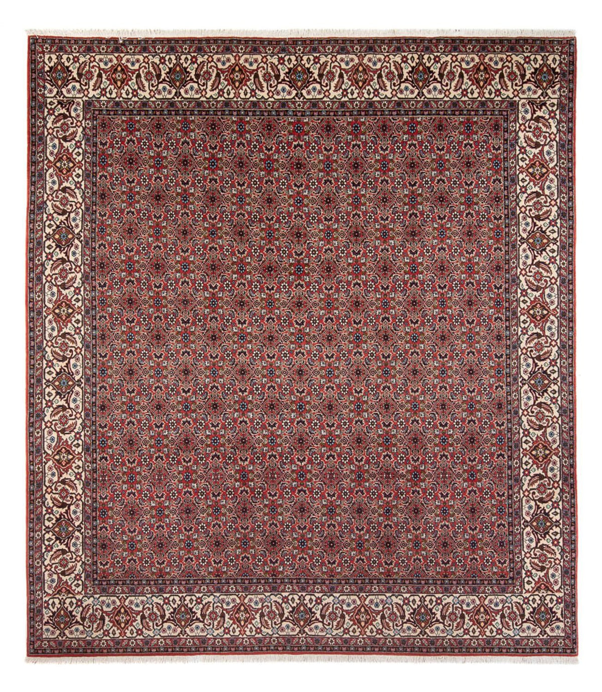 Perski dywan - Bijar - Royal - 296 x 248 cm - ciemna czerwień
