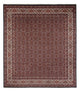 Bidjar - Bukan Dywan 300x248cm - Dywan perski