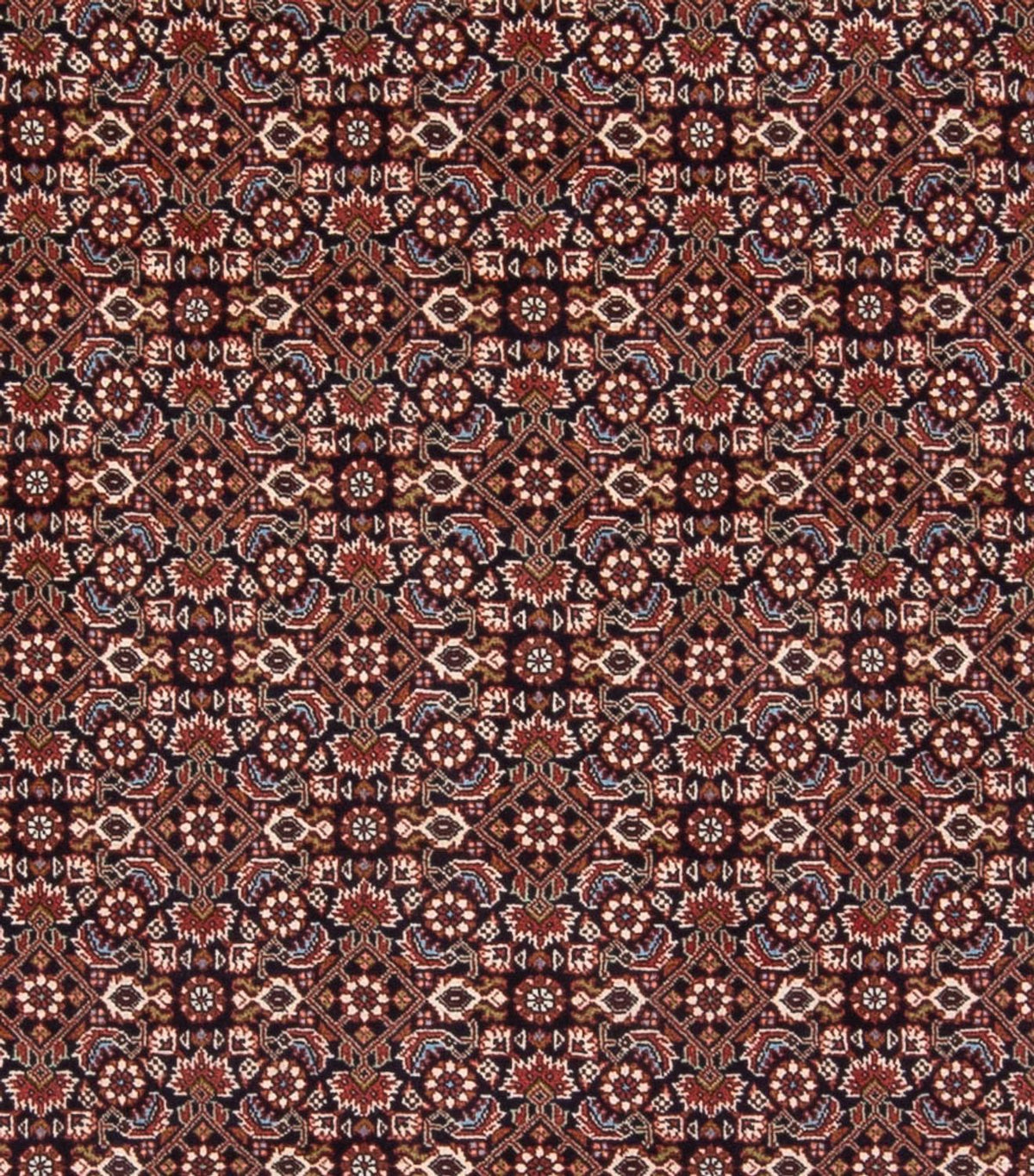 Perski dywan - Bijar - Royal - 300 x 248 cm - ciemnoniebieski