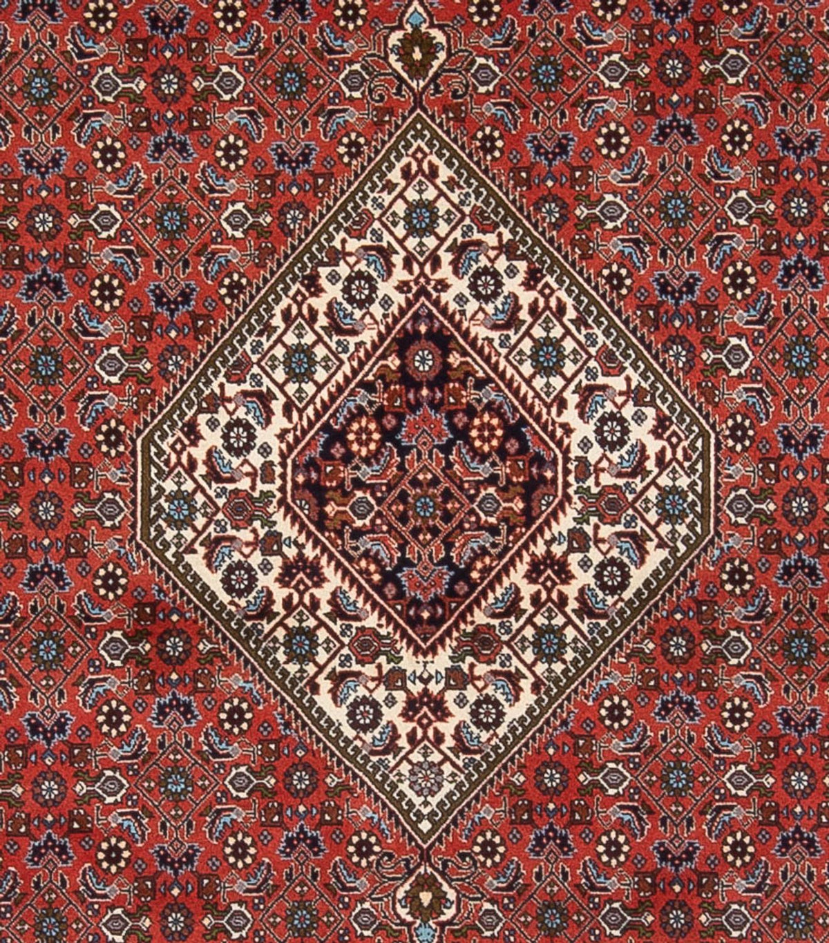 Perski dywan - Bijar - Royal - 290 x 243 cm - rdza