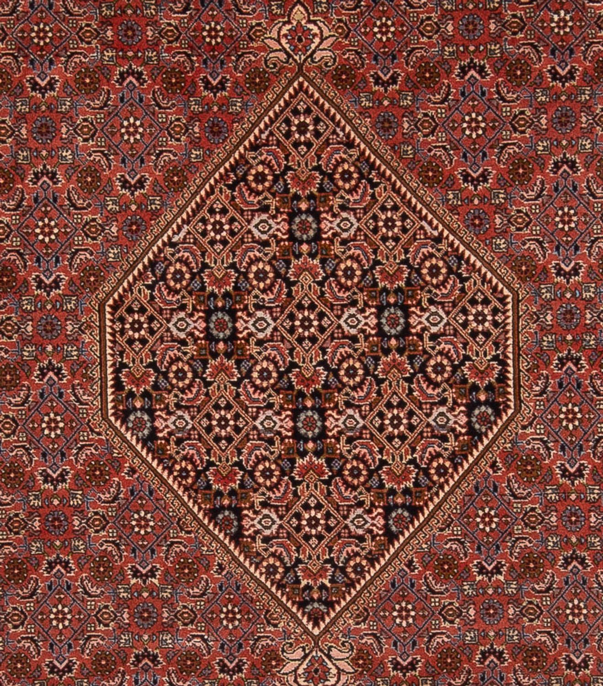 Perski dywan - Bijar - Royal - 344 x 250 cm - rdza