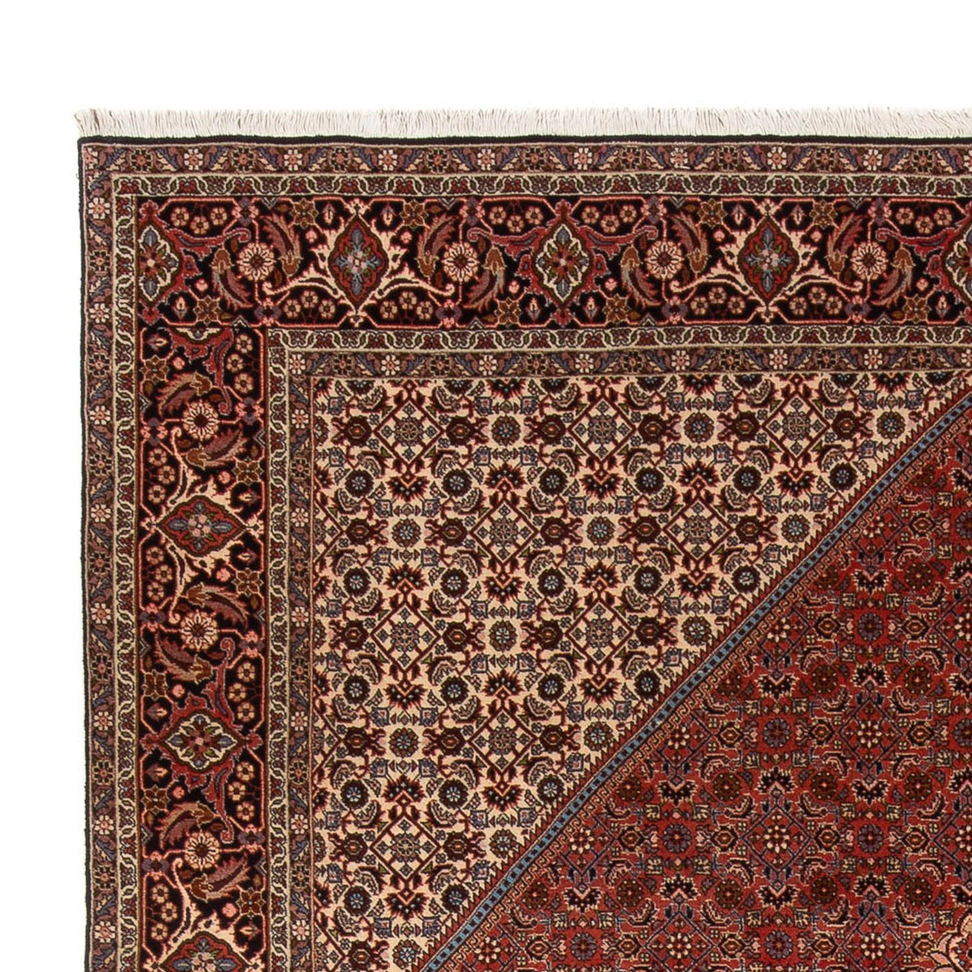 Bidjar - Bukan Dywan 344x250cm - Dywan perski
