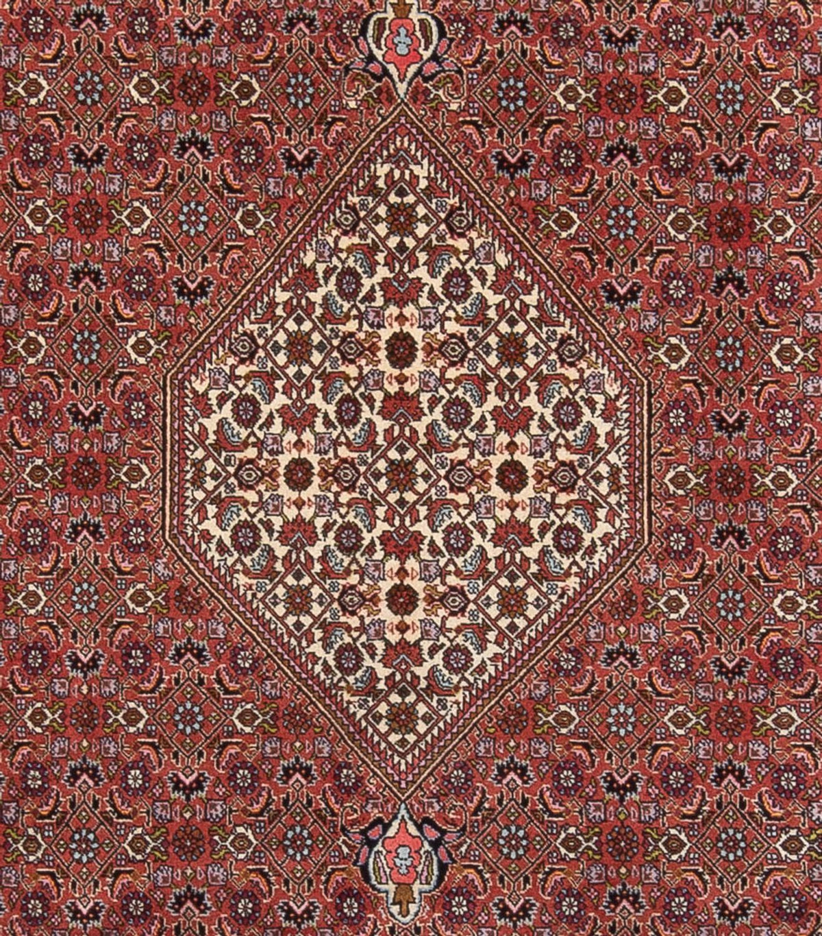 Perski dywan - Bijar - Royal - 343 x 247 cm - rdza