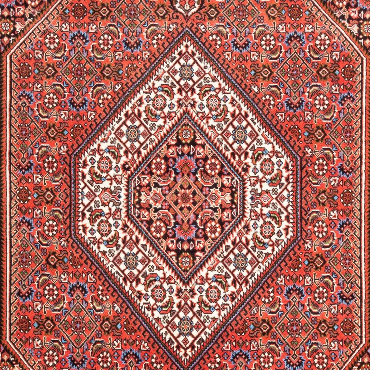 Perserteppich - Bidjar - Royal - 186 x 112 cm - rot