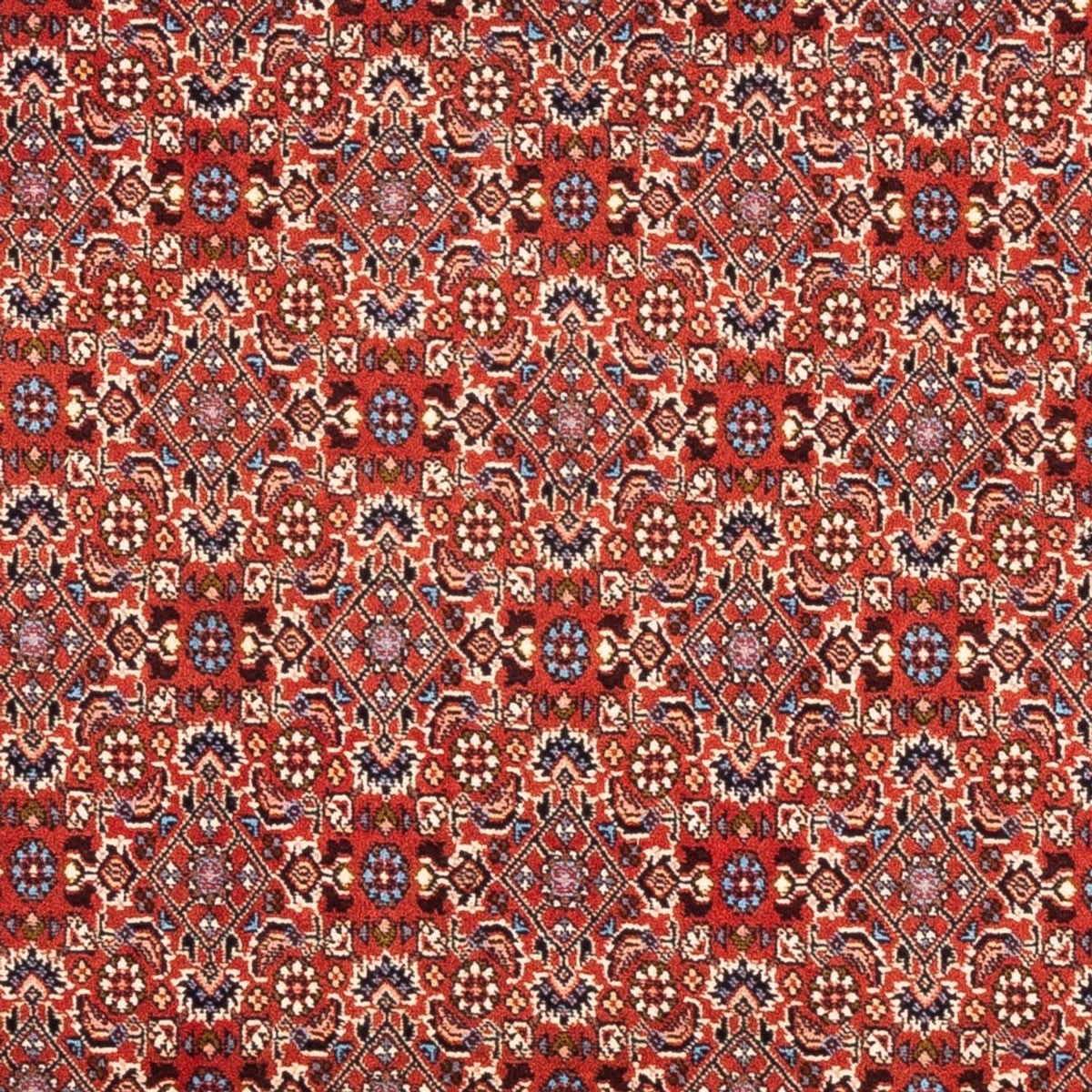 Perserteppich - Bidjar - Royal - 180 x 110 cm - rot