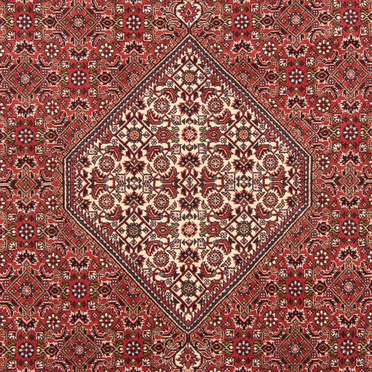 Perski dywan - Bijar - Royal - 290 x 202 cm - czerwony