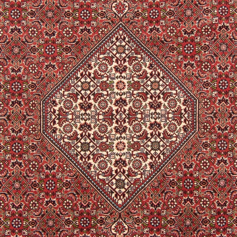 Perski dywan - Bijar - Royal - 290 x 202 cm - czerwony