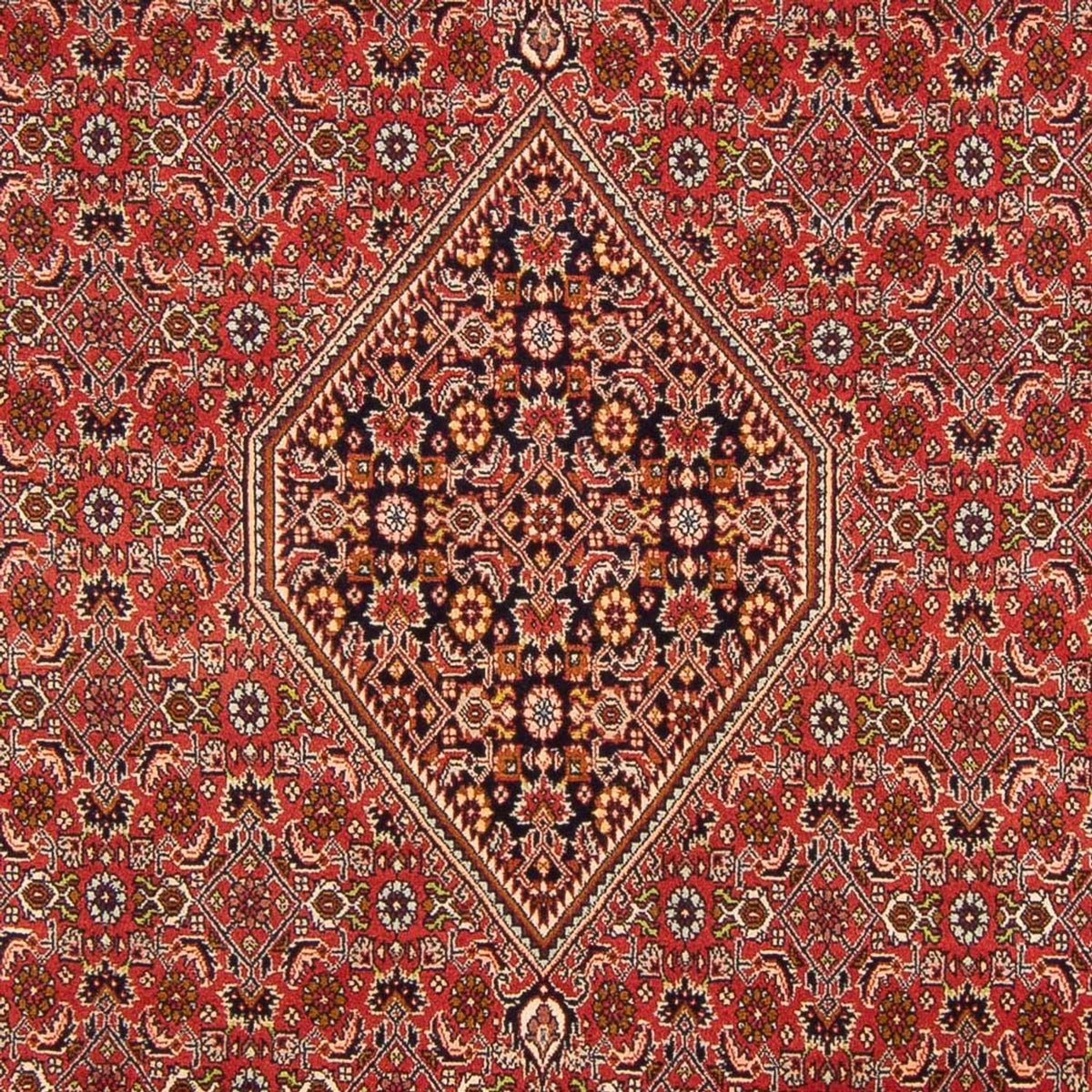 Perski dywan - Bijar - Royal - 290 x 200 cm - czerwony