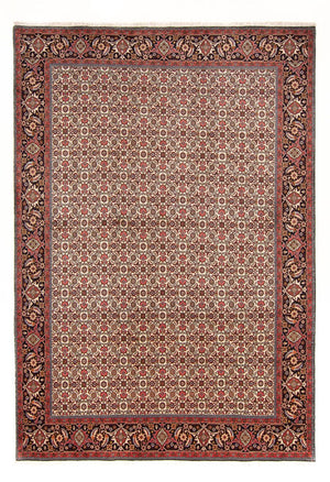 Perski dywan - Bijar - Royal - 290 x 200 cm - kremowy