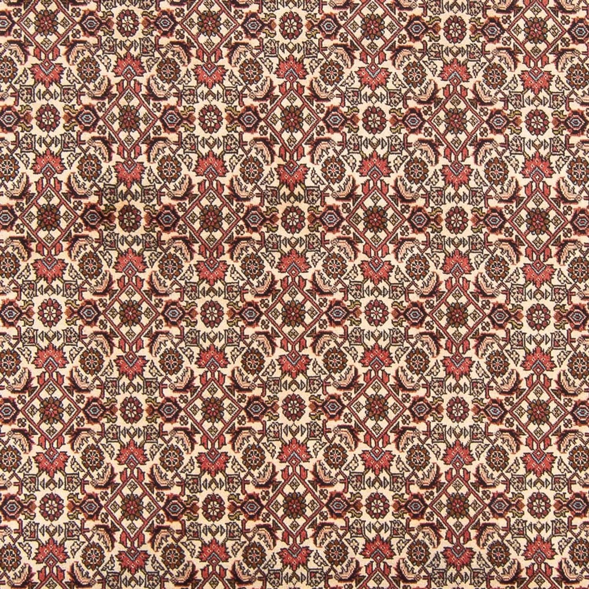 Perski dywan - Bijar - Royal - 290 x 200 cm - kremowy