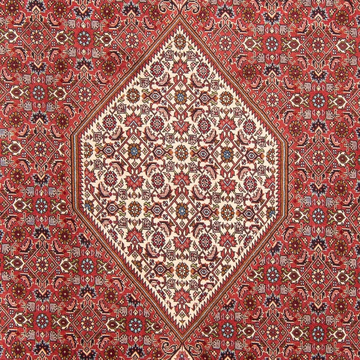 Perski dywan - Bijar - Royal - 310 x 203 cm - czerwony