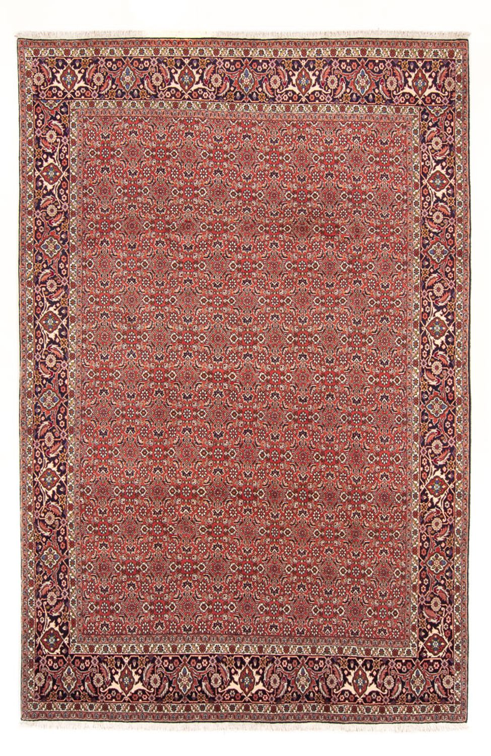Perski dywan - Bijar - Royal - 305 x 200 cm - czerwony