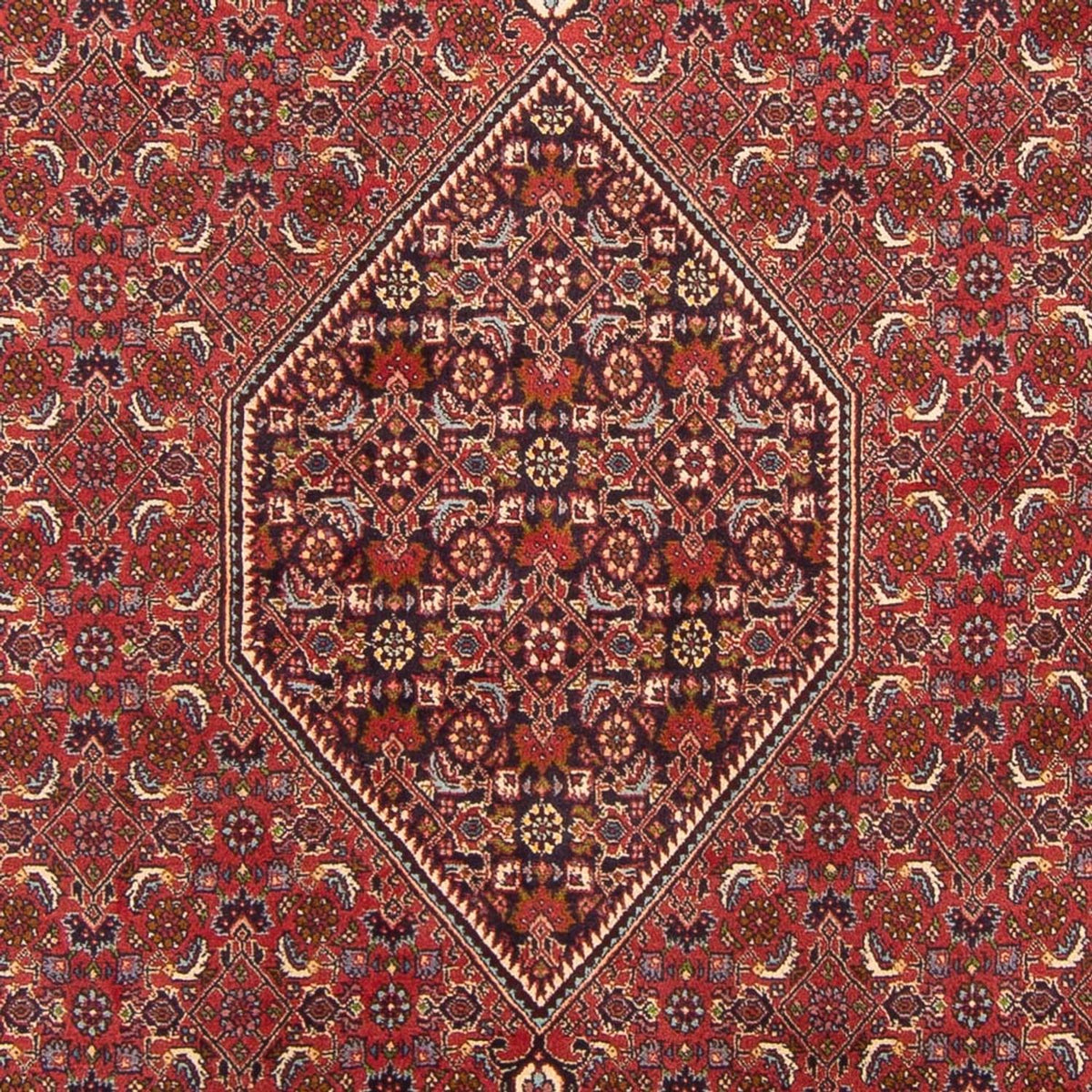 Perski dywan - Bijar - Royal - 301 x 200 cm - czerwony