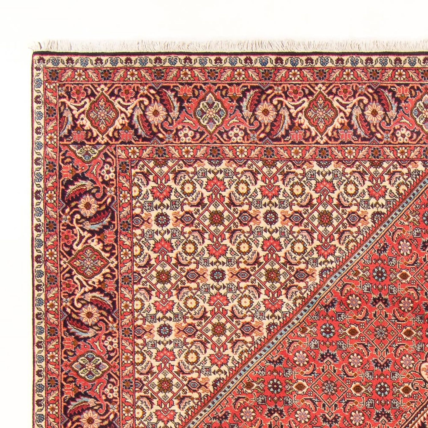 Bidjar - Bukan Dywan 260x200cm - Dywan perski