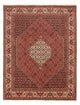 Bidjar - Bukan Dywan 260x200cm - Dywan perski