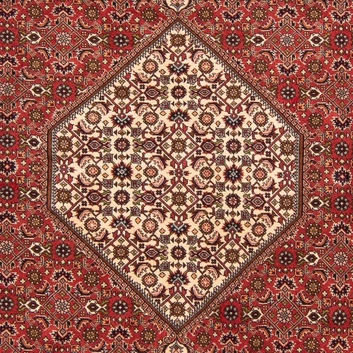 Perski dywan - Bijar - Royal - 260 x 200 cm - czerwony