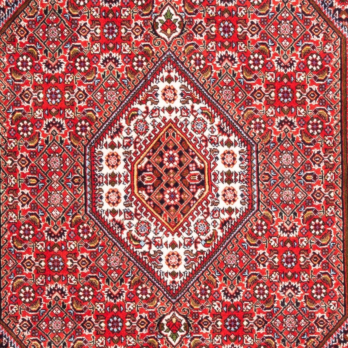 Perserteppich - Bidjar - Royal - 170 x 110 cm - rot