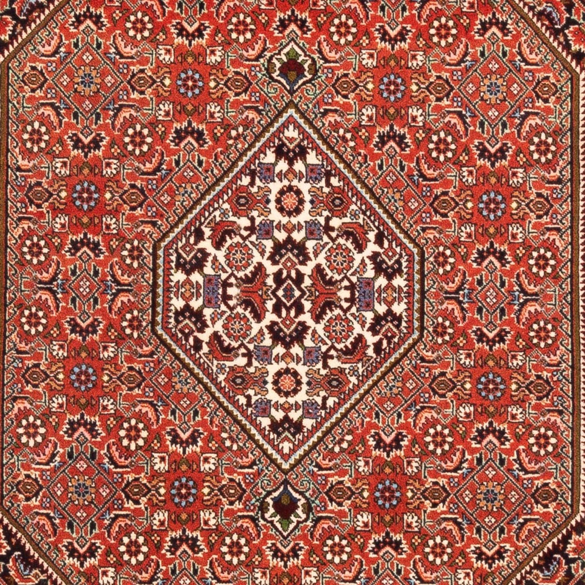 Perserteppich - Bidjar - Royal - 169 x 113 cm - rot