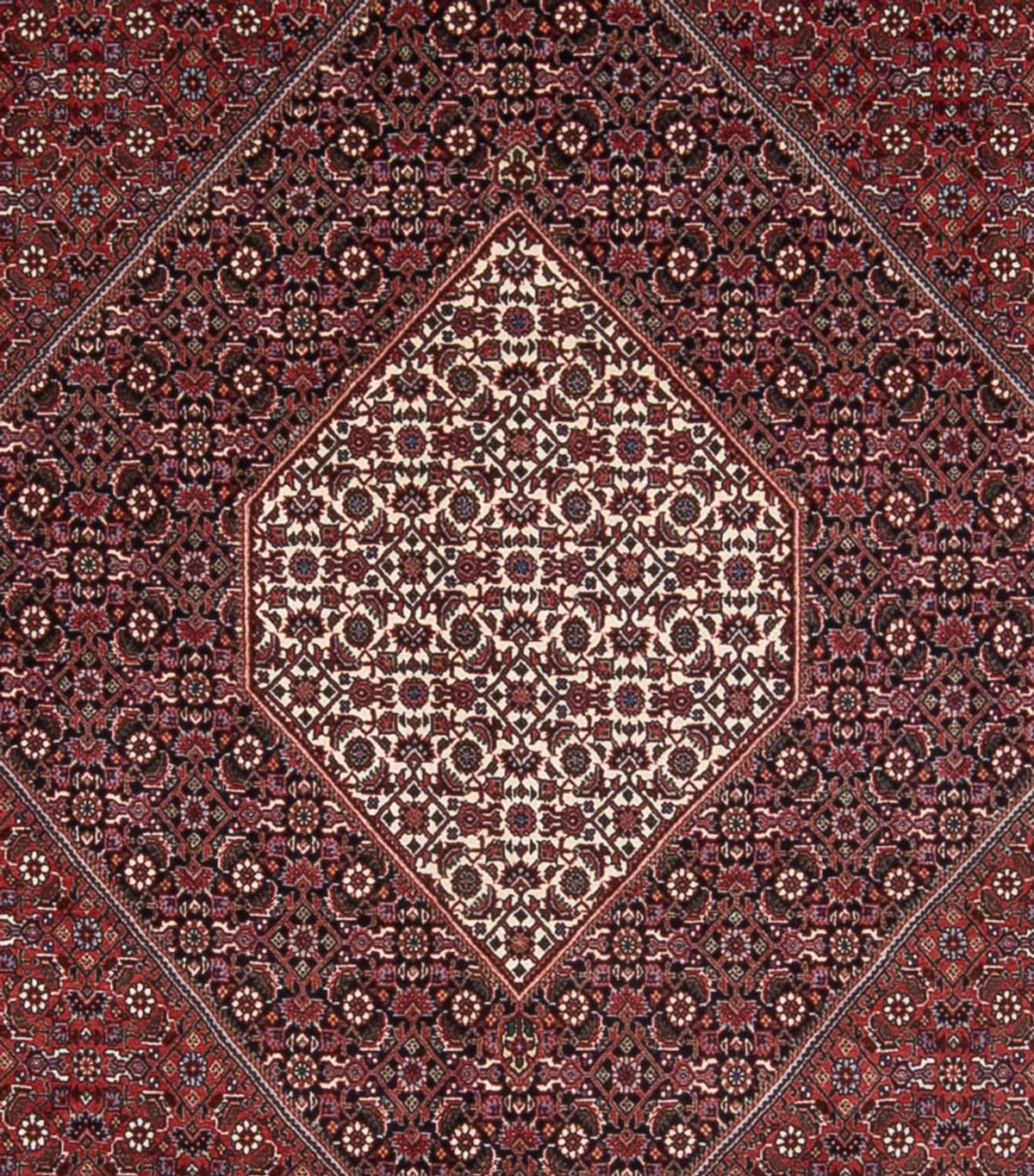Perski dywan - Bijar - Royal - 370 x 253 cm - rdza