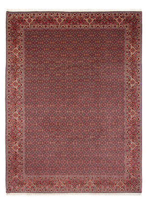 Perski dywan - Bijar - Royal - 337 x 260 cm - ciemnoniebieski