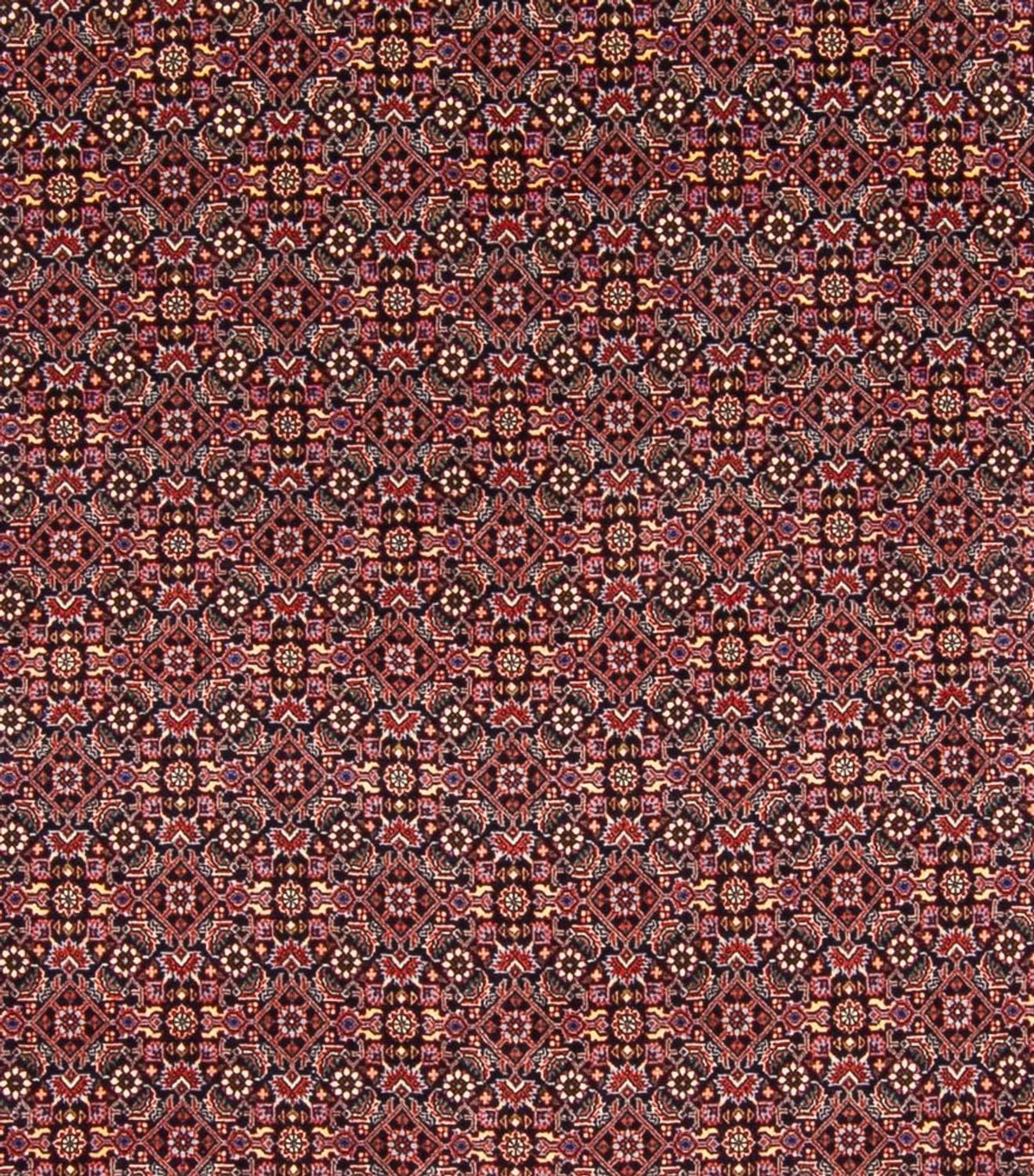 Perski dywan - Bijar - Royal - 337 x 260 cm - ciemnoniebieski