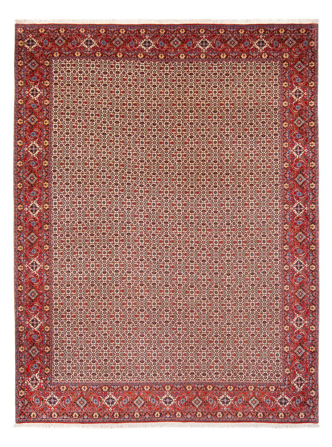 Perski dywan - Bijar - Royal - 343 x 260 cm - kremowy