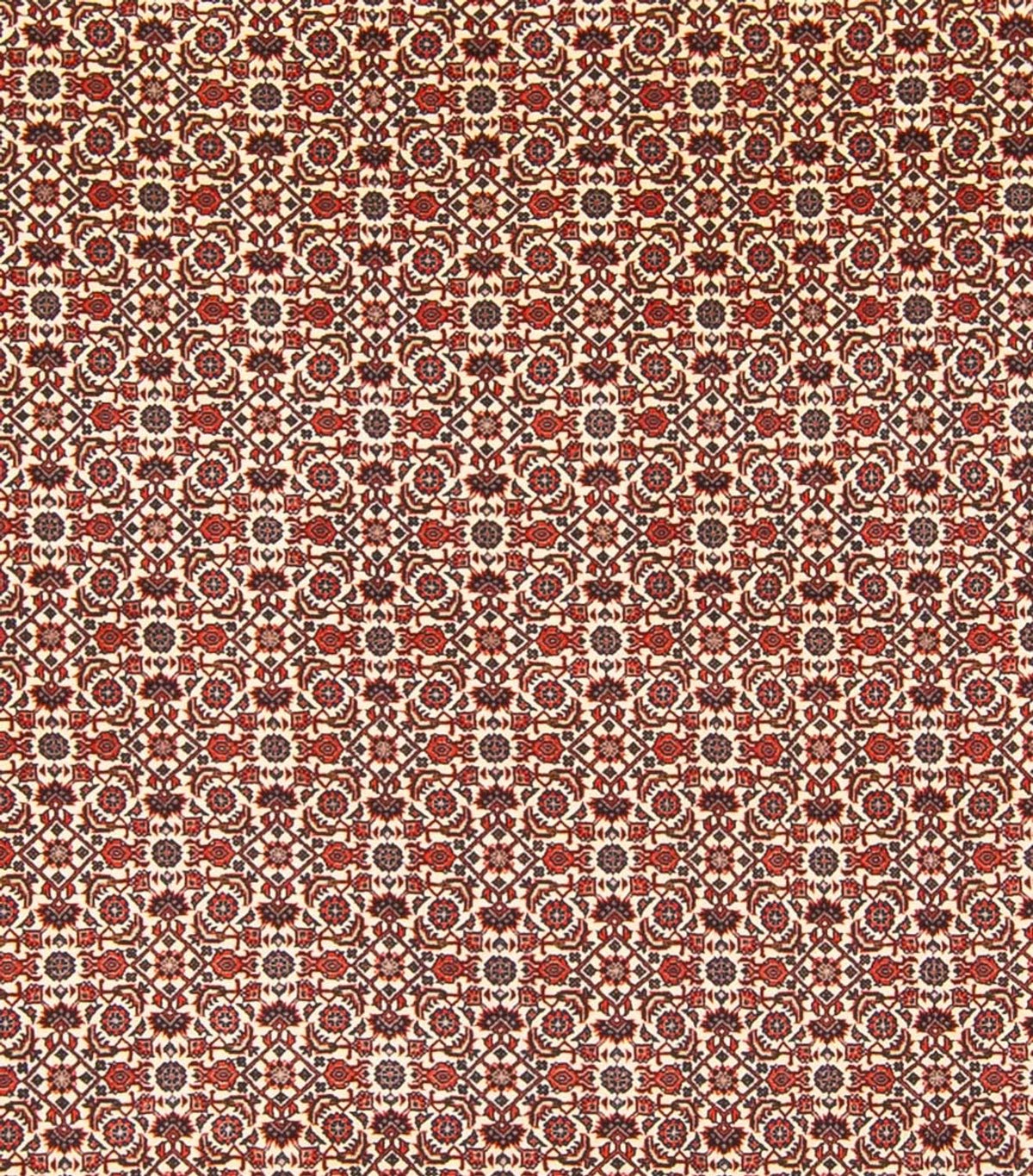 Perski dywan - Bijar - Royal - 343 x 260 cm - kremowy