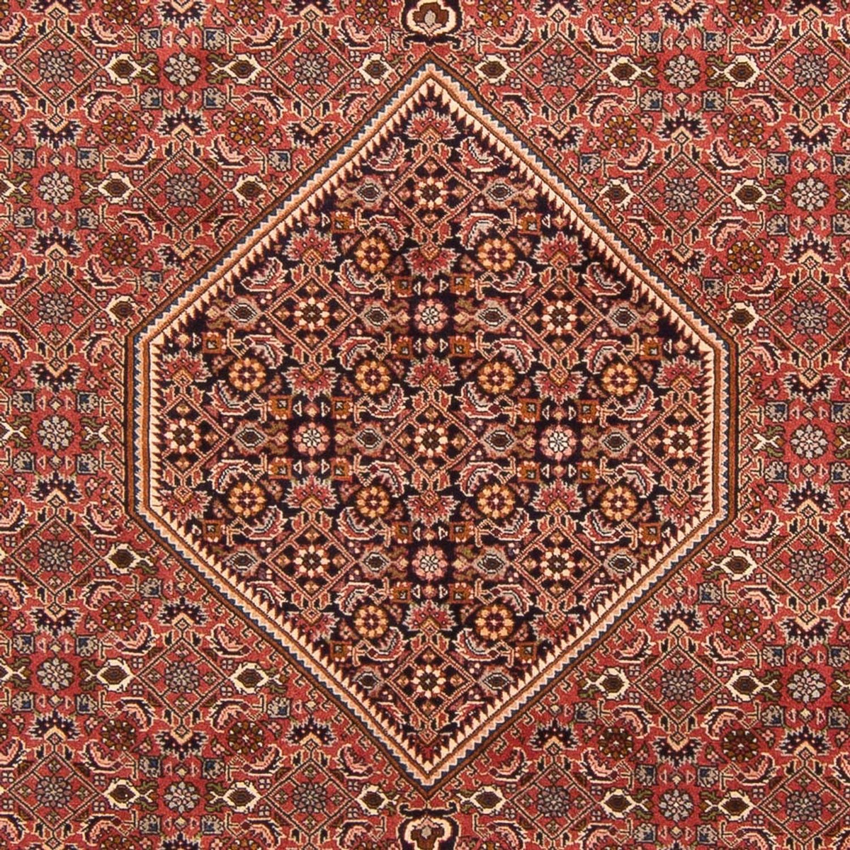 Perski dywan - Bijar - Royal - 297 x 196 cm - czerwony