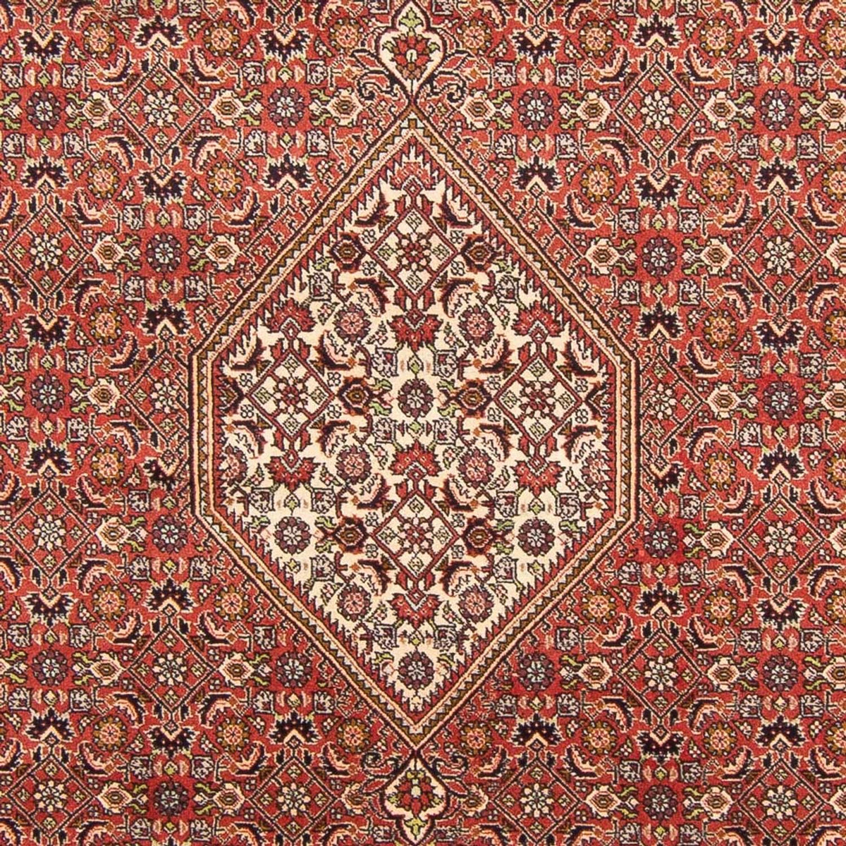 Perski dywan - Bijar - Royal - 293 x 197 cm - czerwony