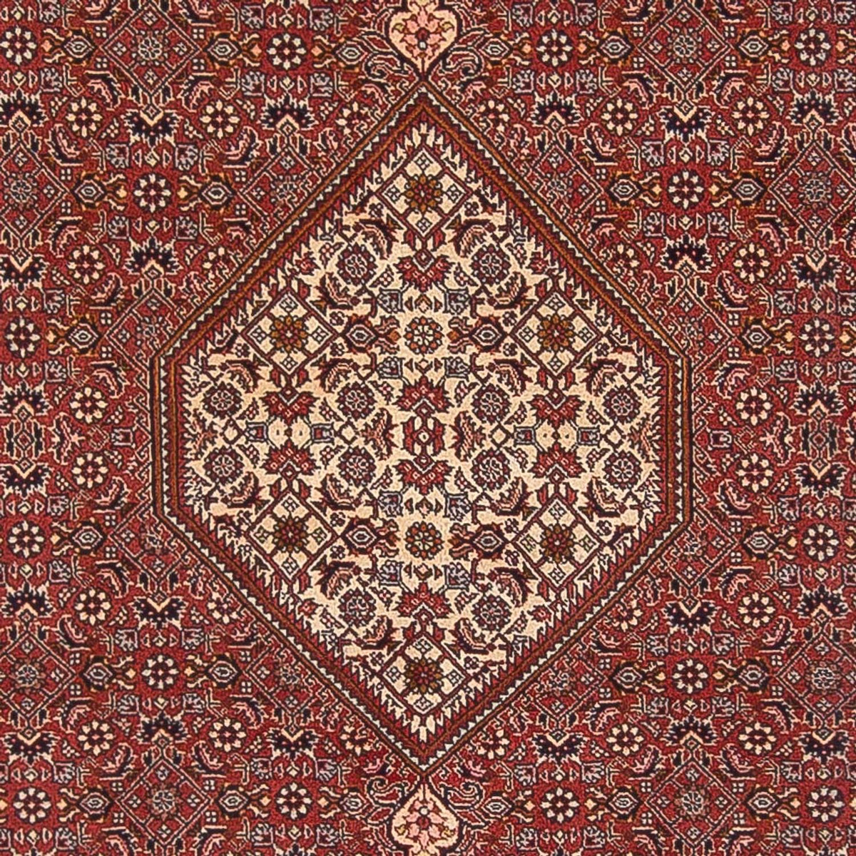 Perserteppich - Bidjar - Royal - 291 x 197 cm - rot