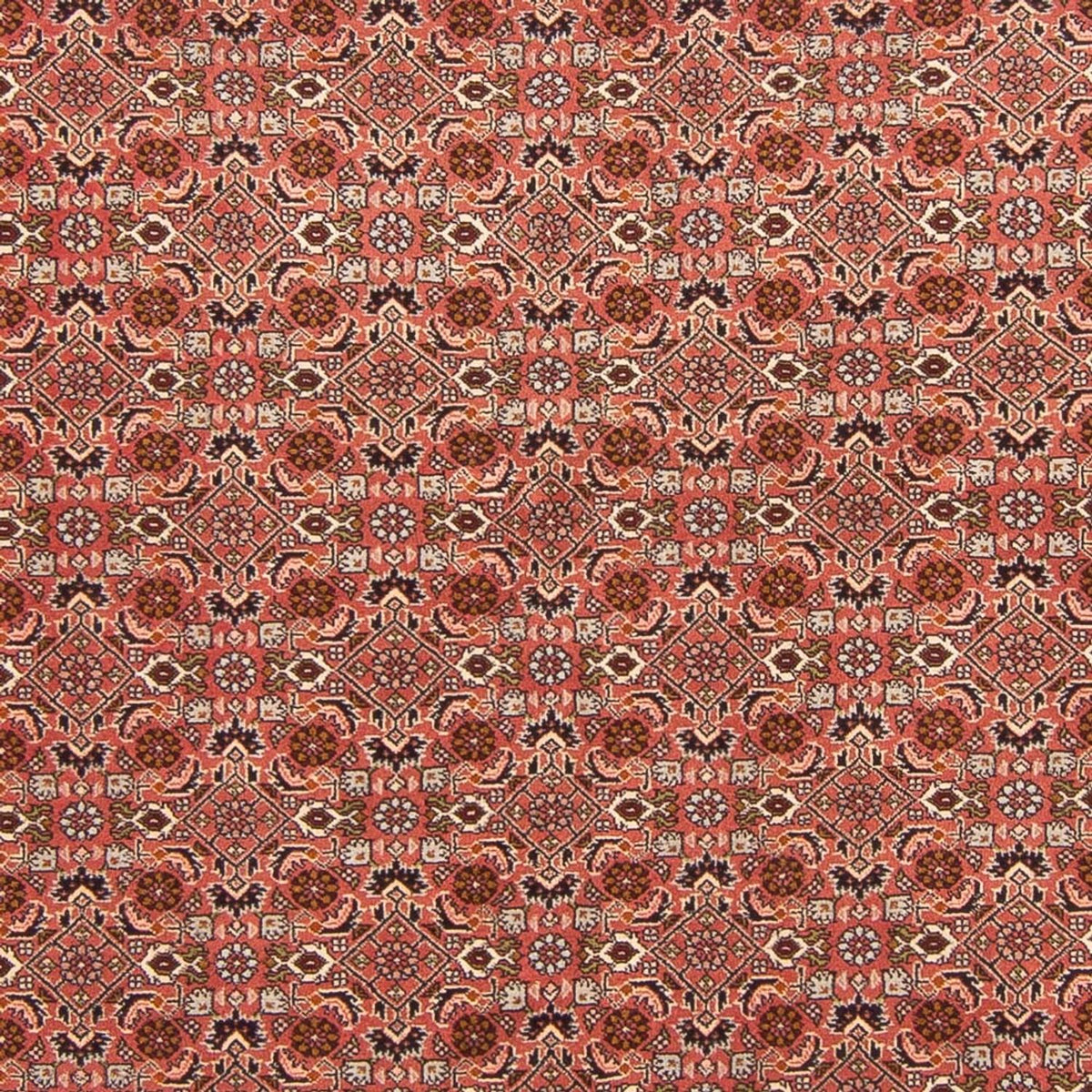 Perski dywan - Bijar - Royal - 288 x 202 cm - czerwony
