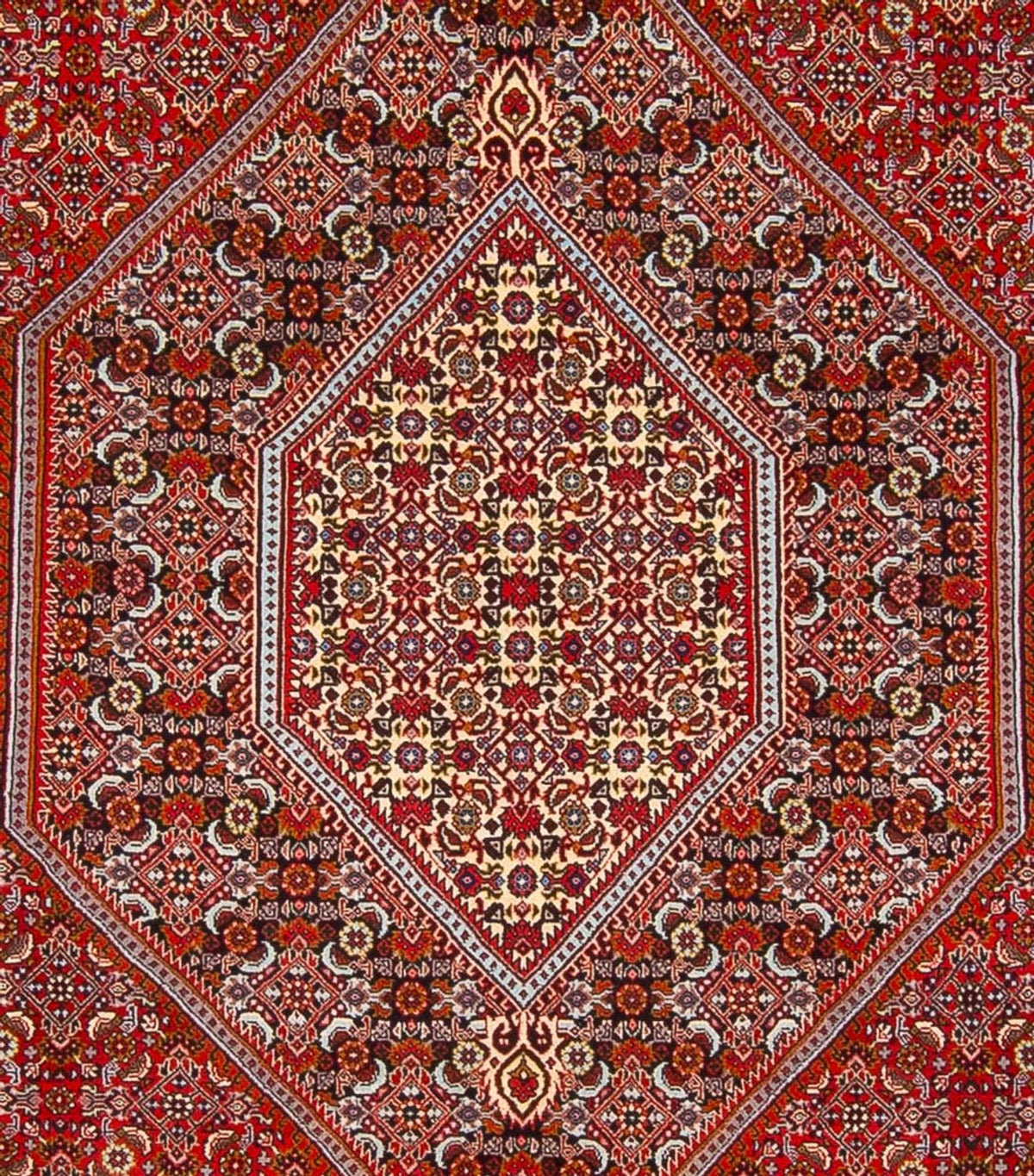 Perski dywan - Bijar - Royal - 341 x 248 cm - czerwony
