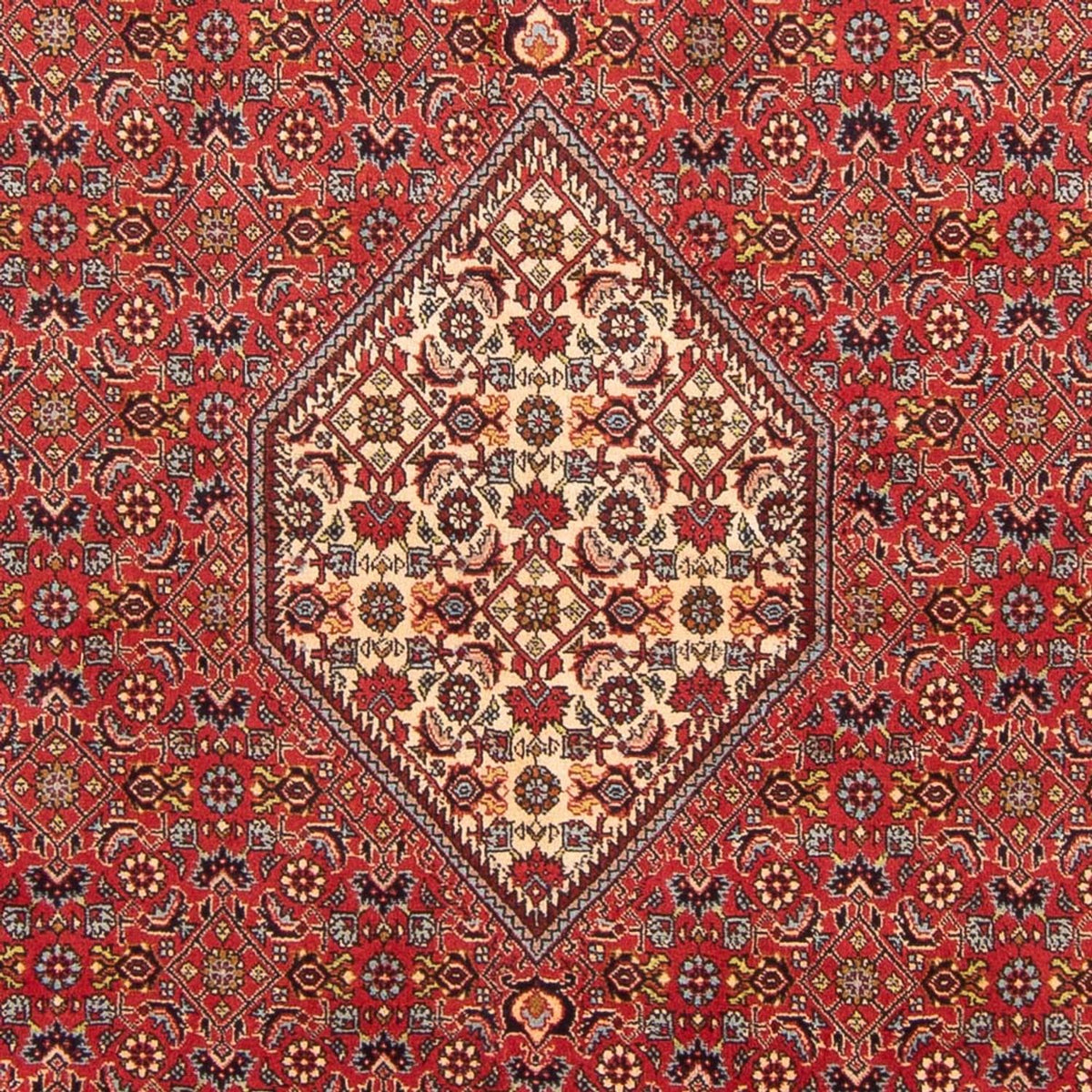 Perski dywan - Bijar - Royal - 293 x 206 cm - czerwony