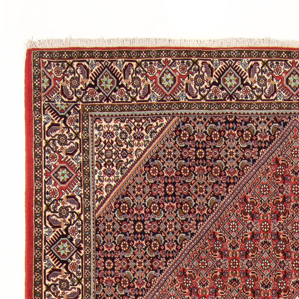 Perski dywan - Bijar - Royal - 294 x 200 cm - czerwony