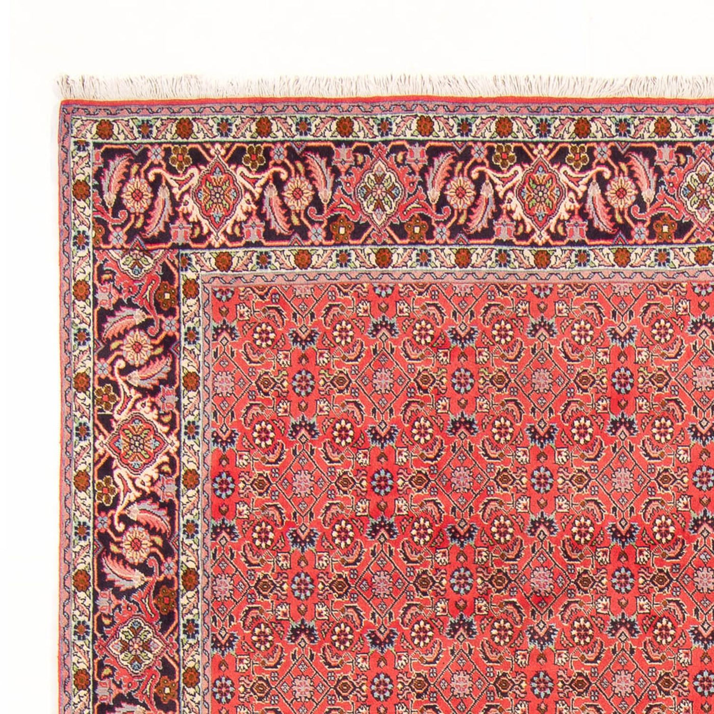Bidjar - Bukan Dywan 294x200cm - Dywan perski