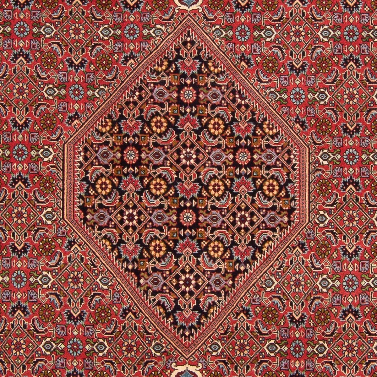 Perski dywan - Bijar - Royal - 307 x 200 cm - czerwony