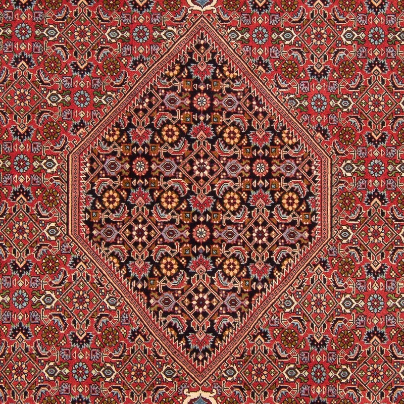 Perski dywan - Bijar - Royal - 307 x 200 cm - czerwony