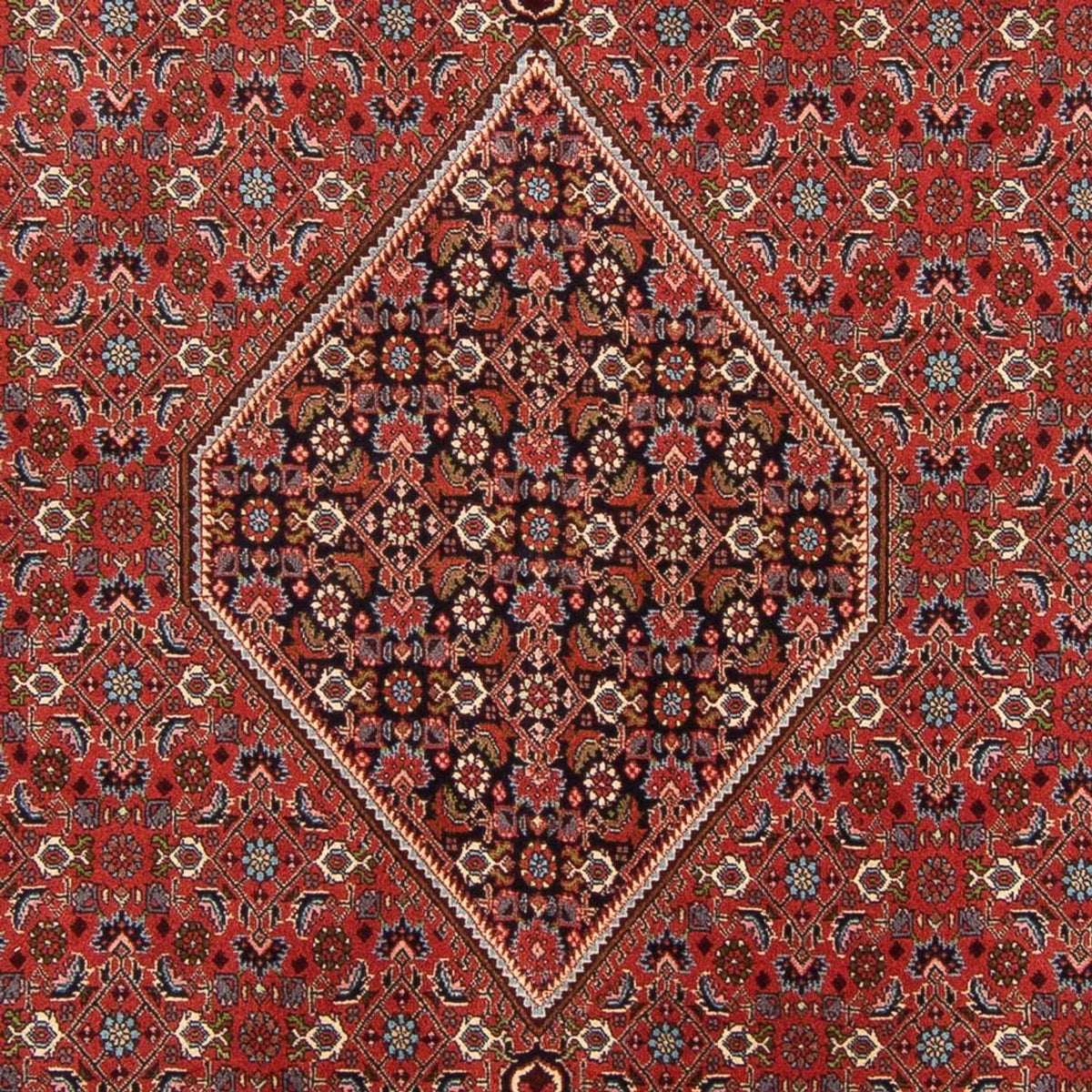 Perski dywan - Bijar - Royal - 310 x 200 cm - czerwony