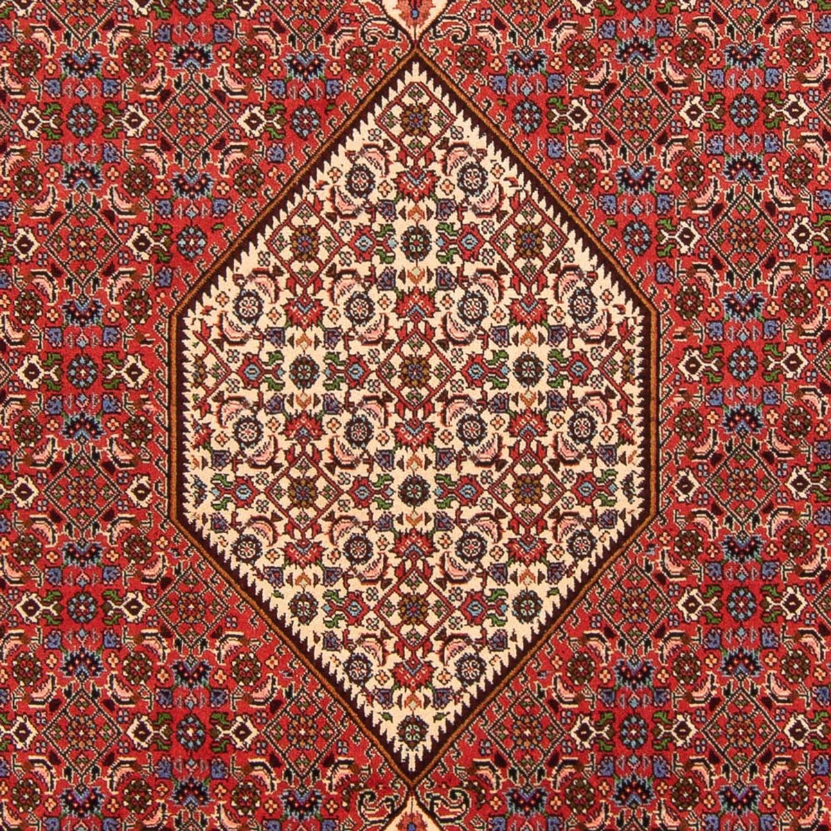 Perski dywan - Bijar - Royal - 300 x 200 cm - czerwony
