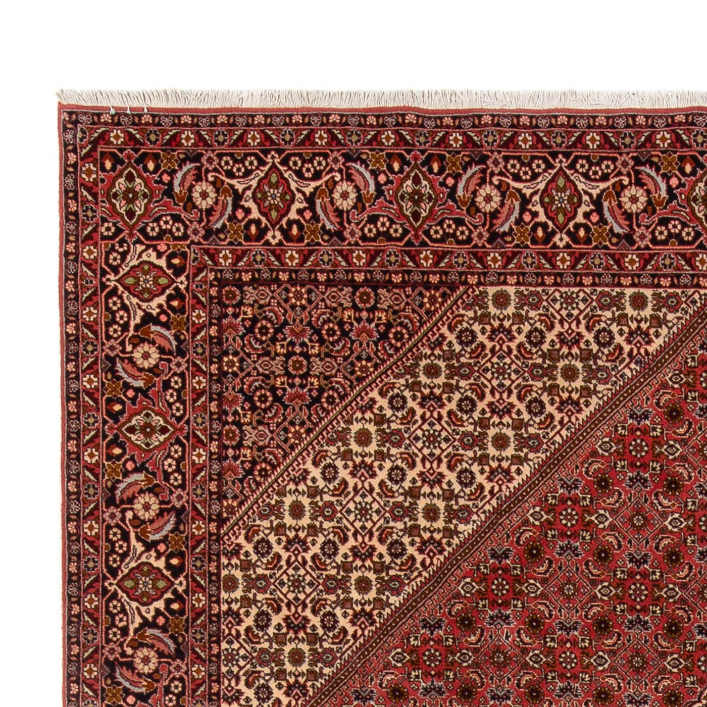 Bidjar - Bukan Dywan 350x250cm - Dywan perski