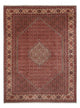 Bidjar - Bukan Dywan 340x250cm - Dywan perski