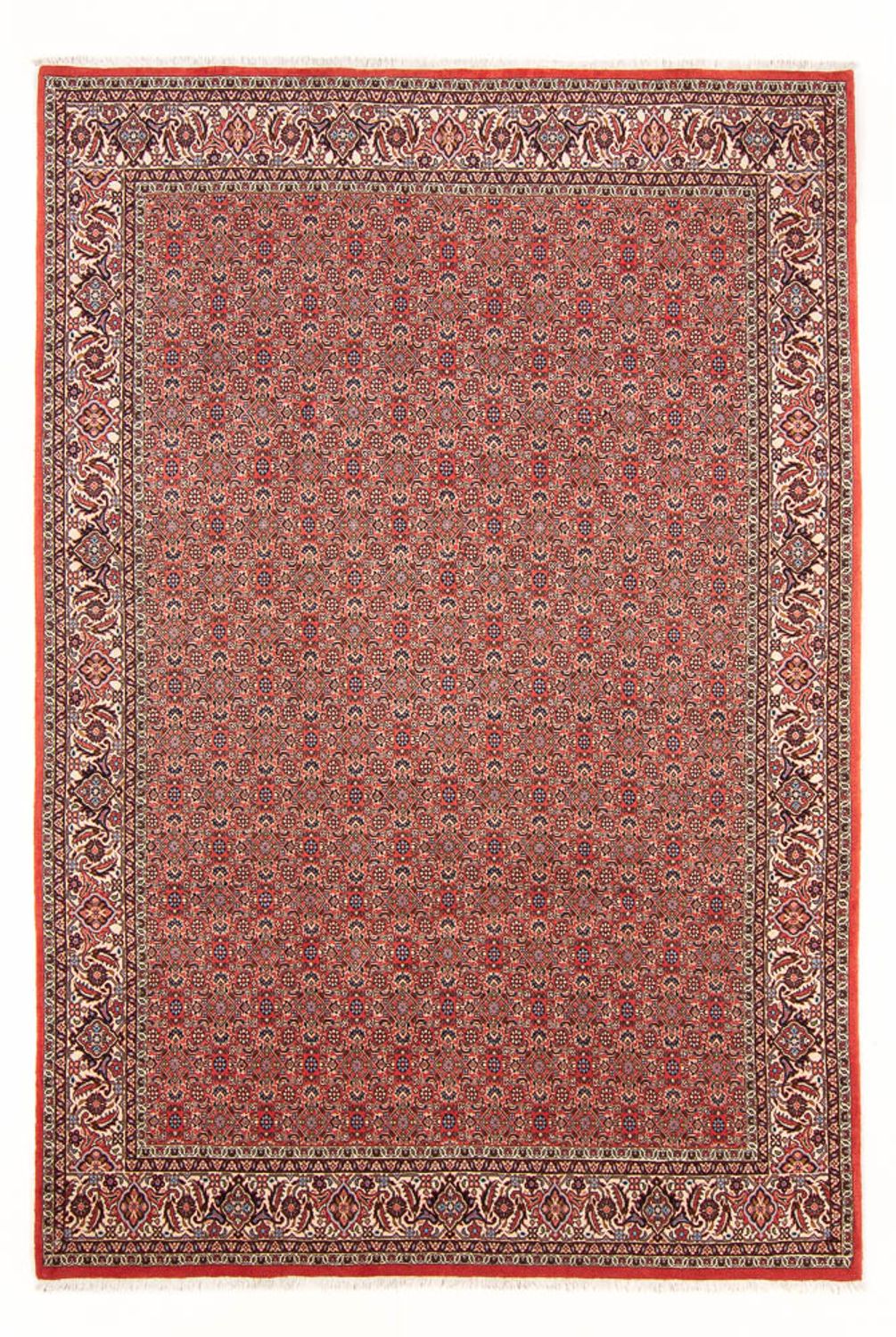 Perski dywan - Bijar - Royal - 298 x 196 cm - czerwony