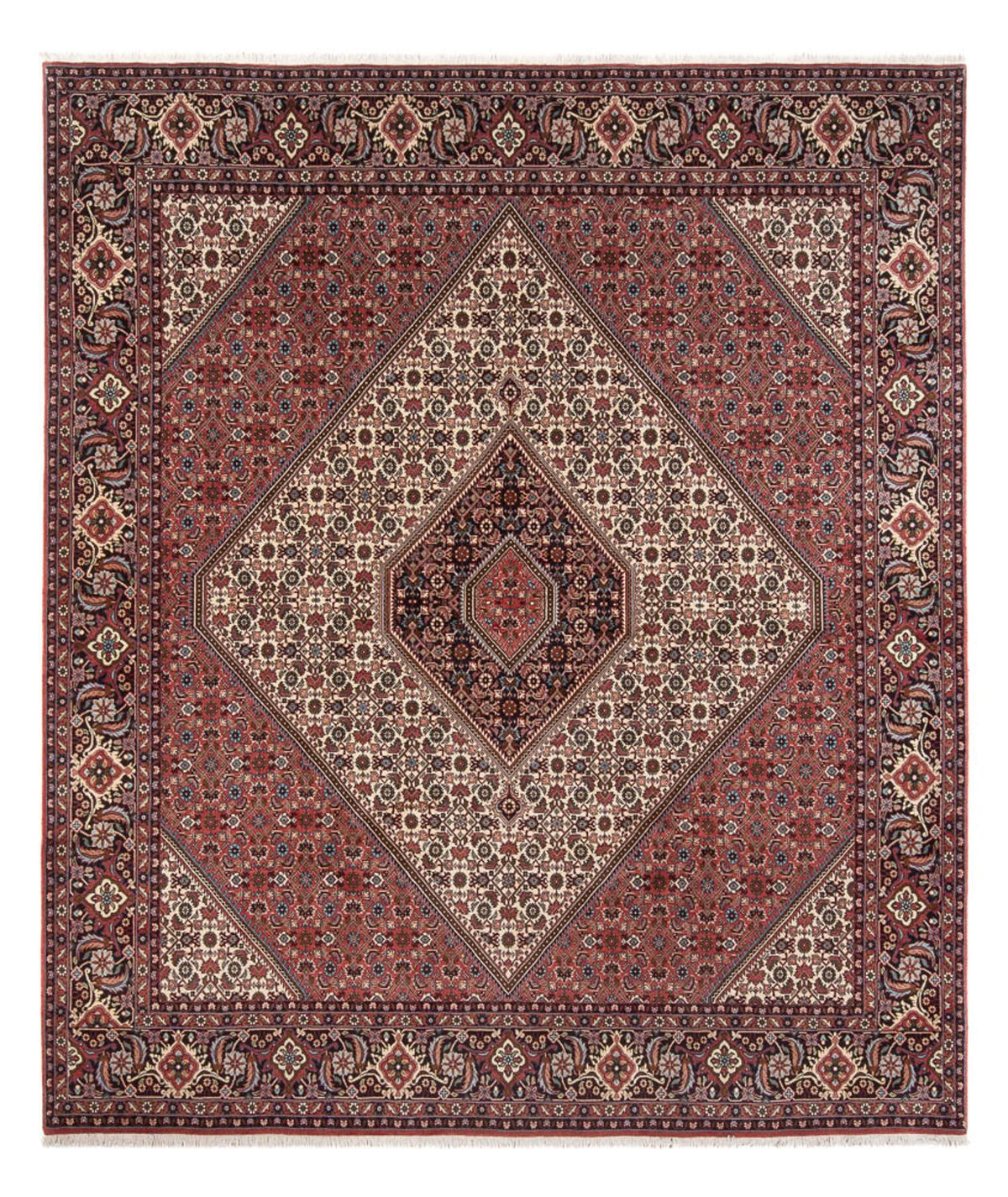 Perski dywan - Bijar - Royal - 296 x 252 cm - kremowy