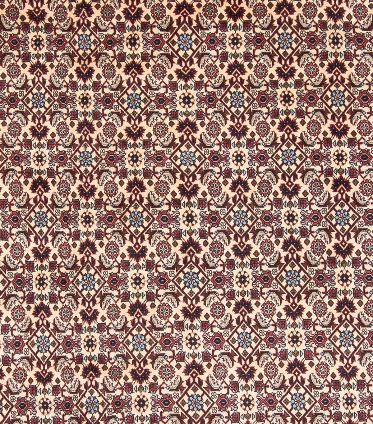 Perski dywan - Bijar - Royal - 344 x 245 cm - kremowy
