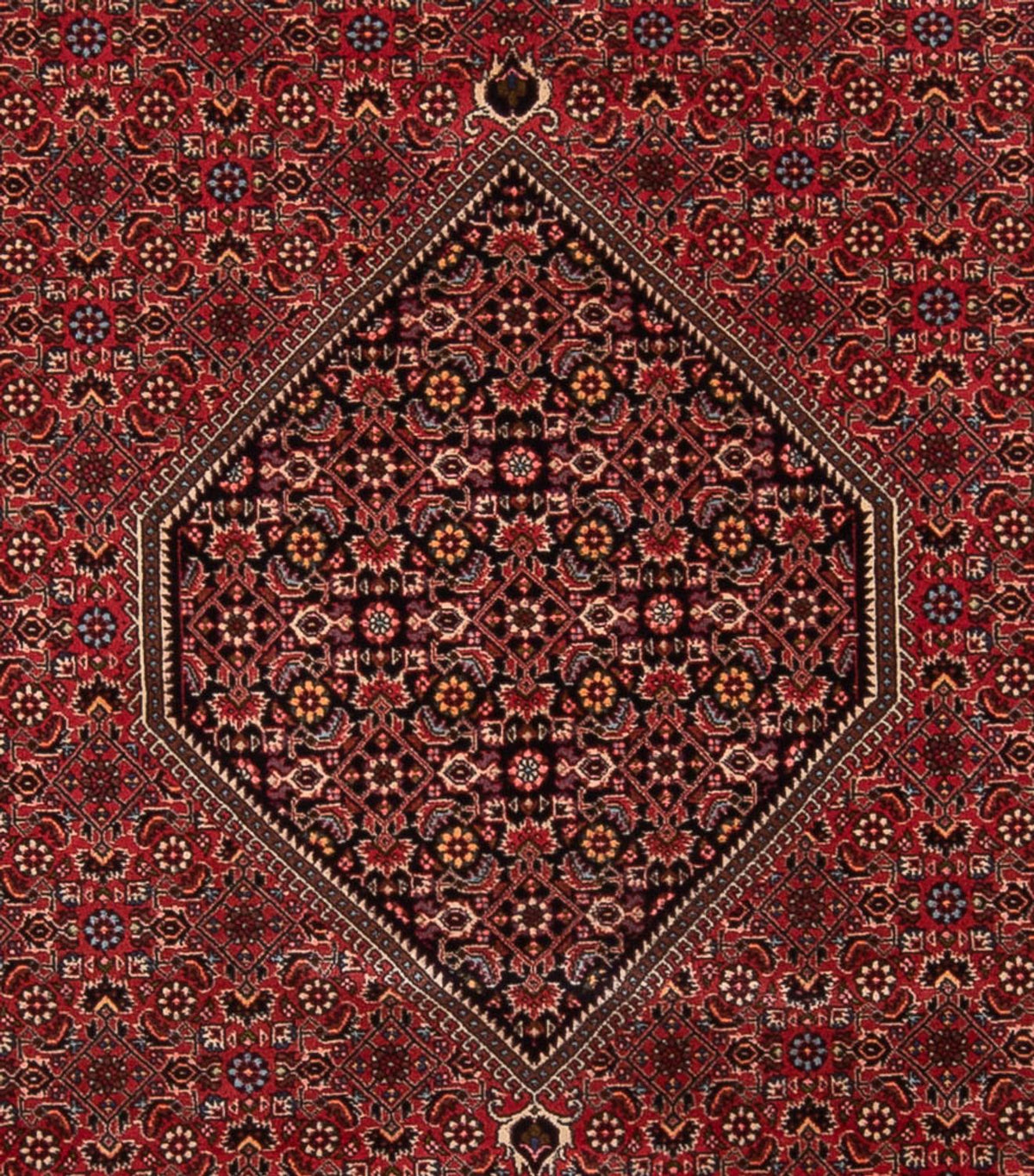 Perski dywan - Bijar - Royal - 347 x 247 cm - czerwony
