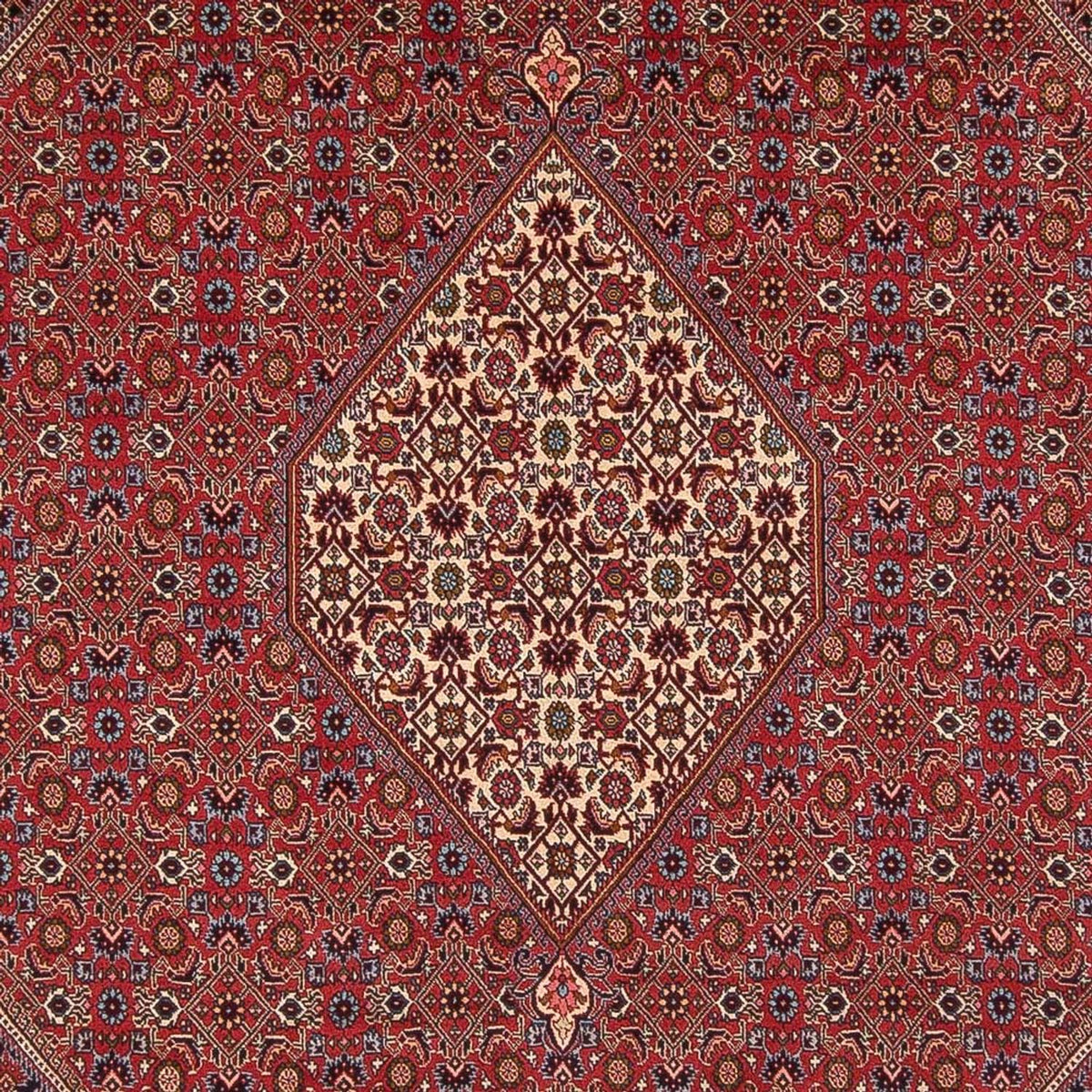 Perserteppich - Bidjar - Royal - 342 x 249 cm - rot