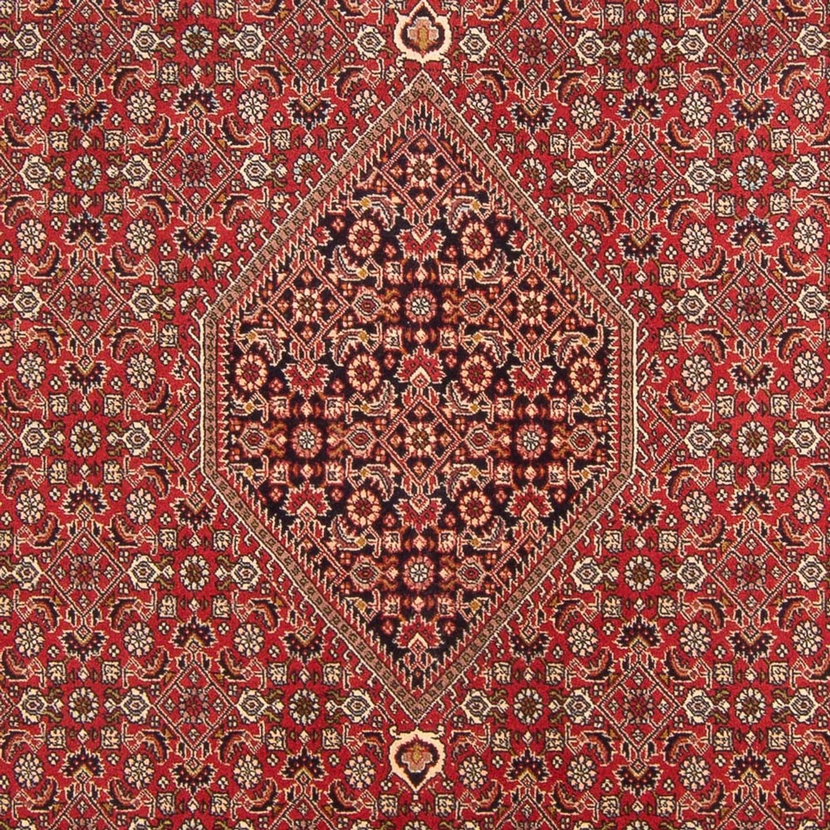 Perski dywan - Bijar - Royal - 298 x 203 cm - czerwony