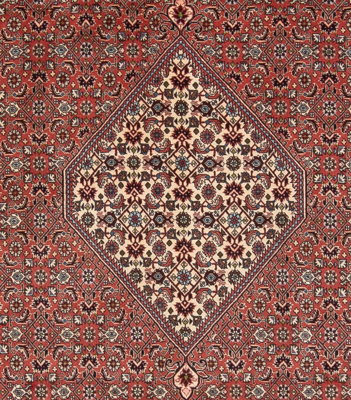 Perski dywan - Bijar - Royal - 334 x 248 cm - jasna czerwień