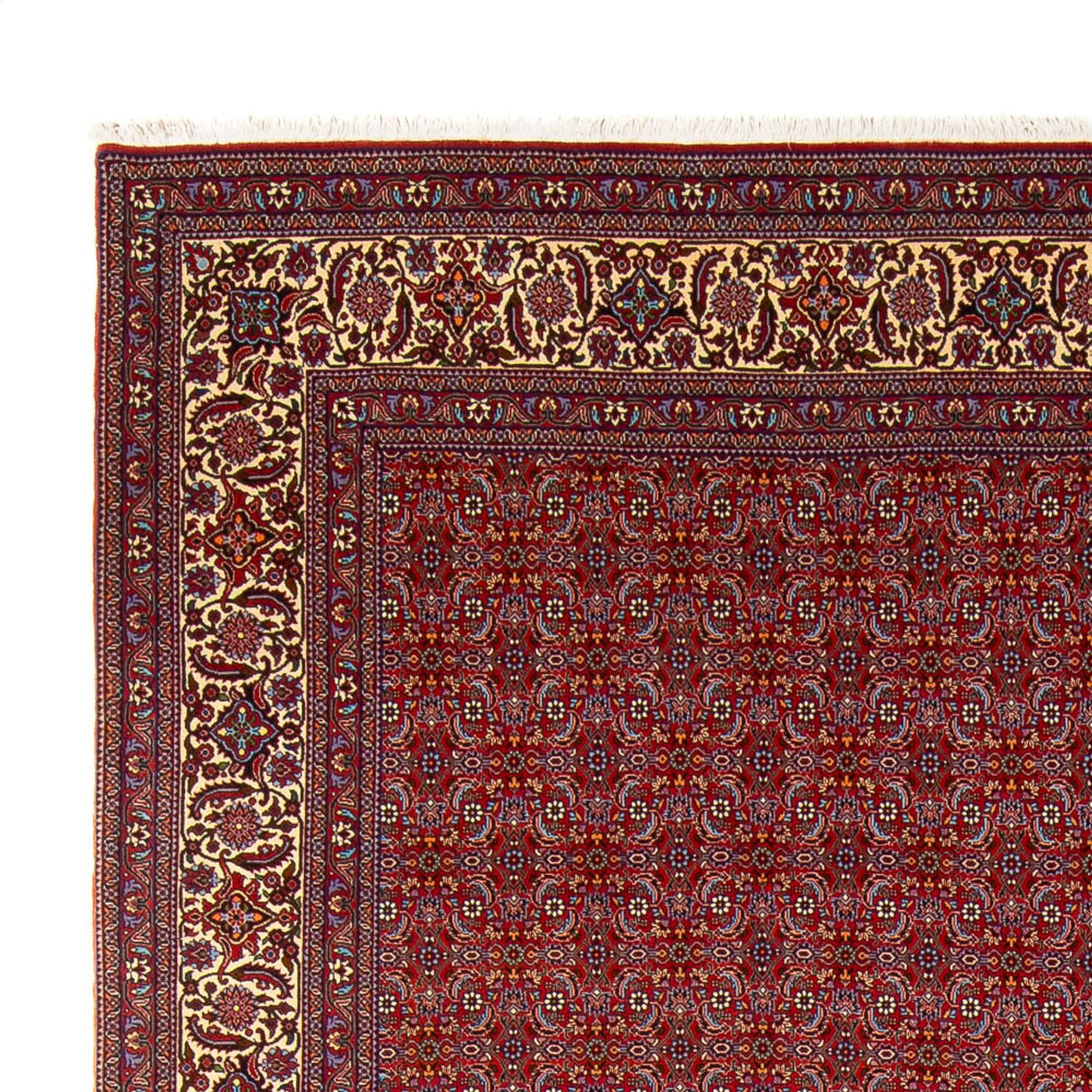 Bidjar - Takab Dywan 347x254cm - Dywan perski