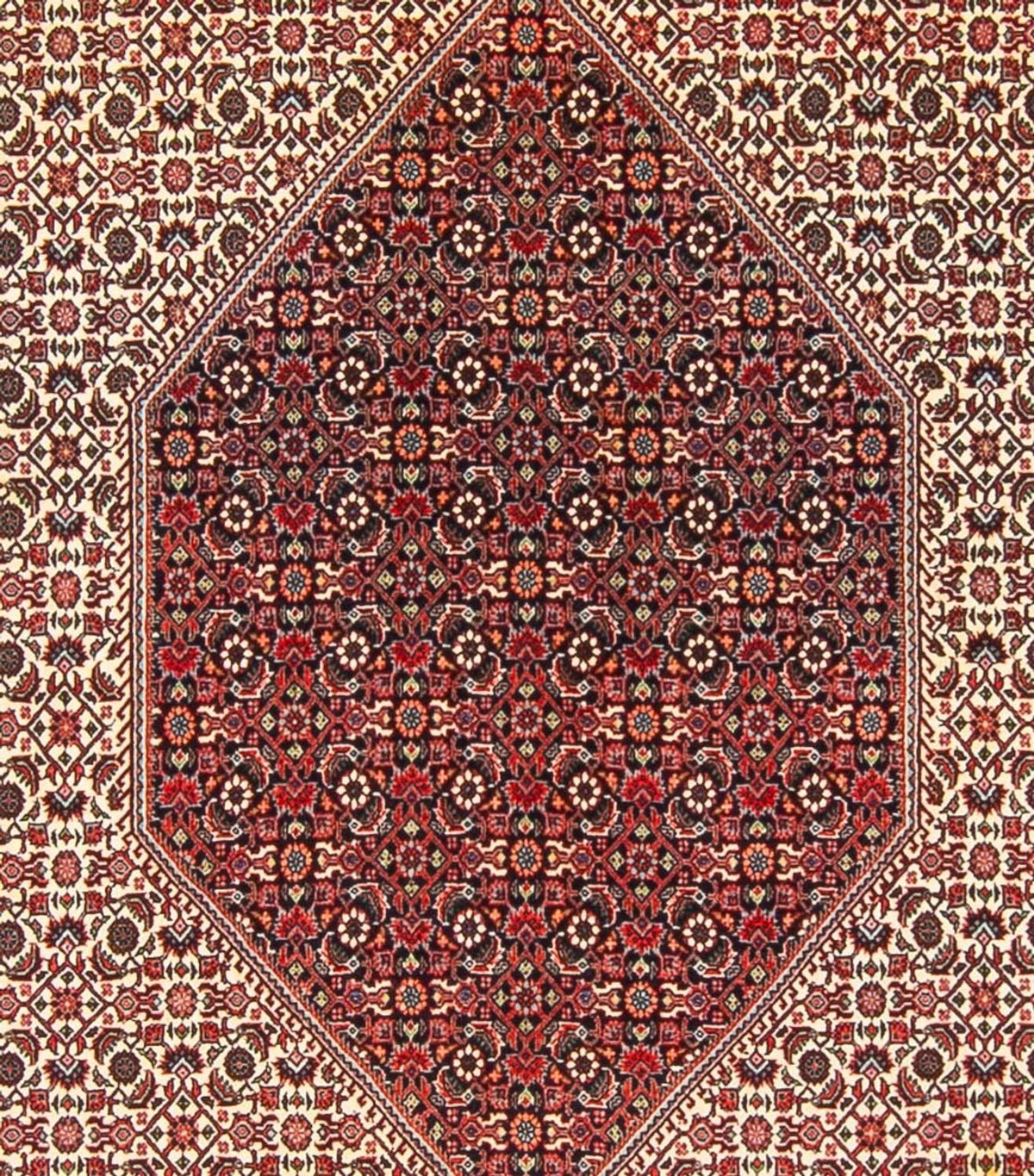 Perski dywan - Bijar - Royal - 300 x 253 cm - kremowy